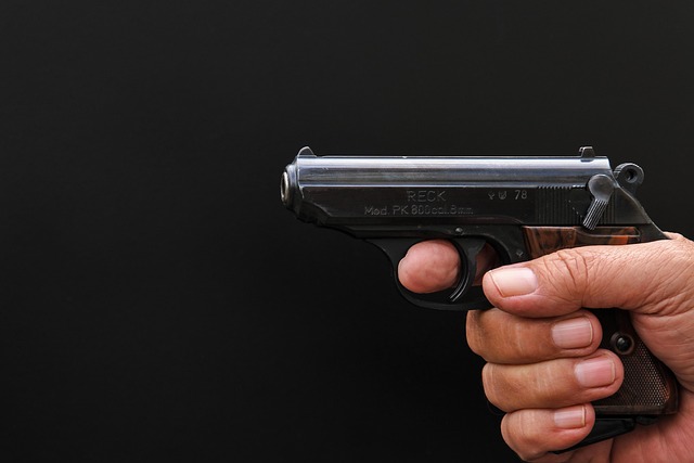 Little nice gun. 